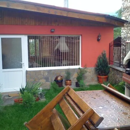 Guest house Vasilevi House