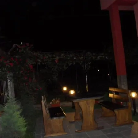 Guest house Vasilevi House *