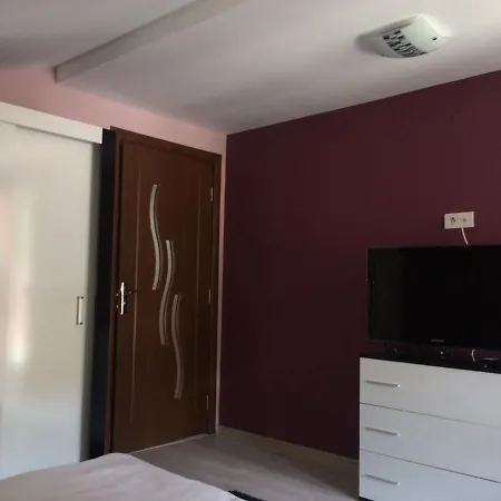 Vasilevi House *