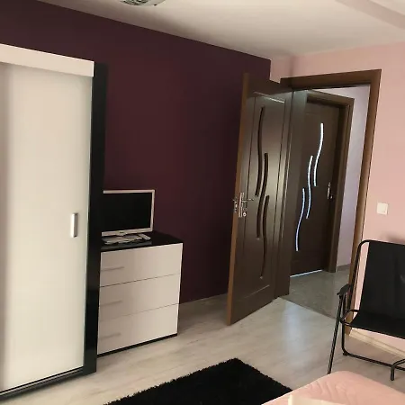 Vasilevi House