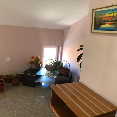 Vasilevi House *