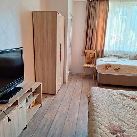 Vasilevi House *