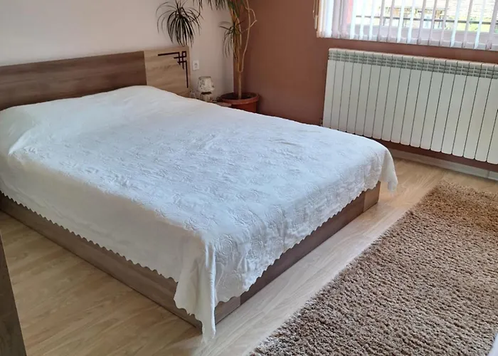 Vasilevi House Gasthof *